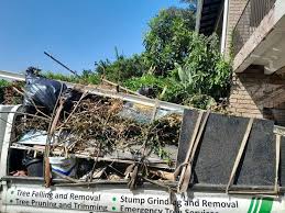 Best Shed Removal  in St James City, FL